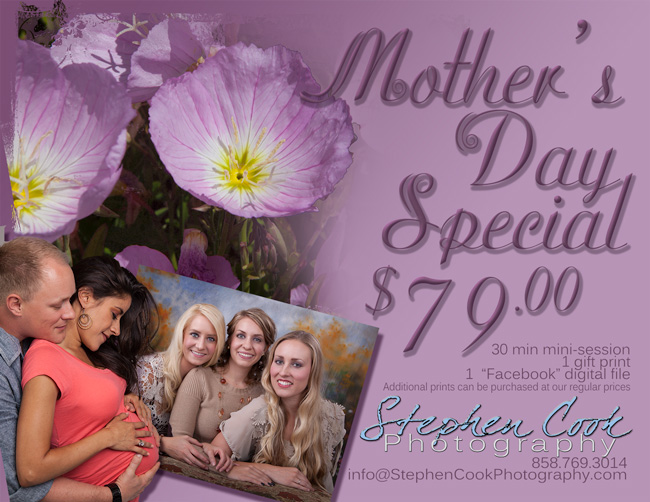 Holiday Promotion